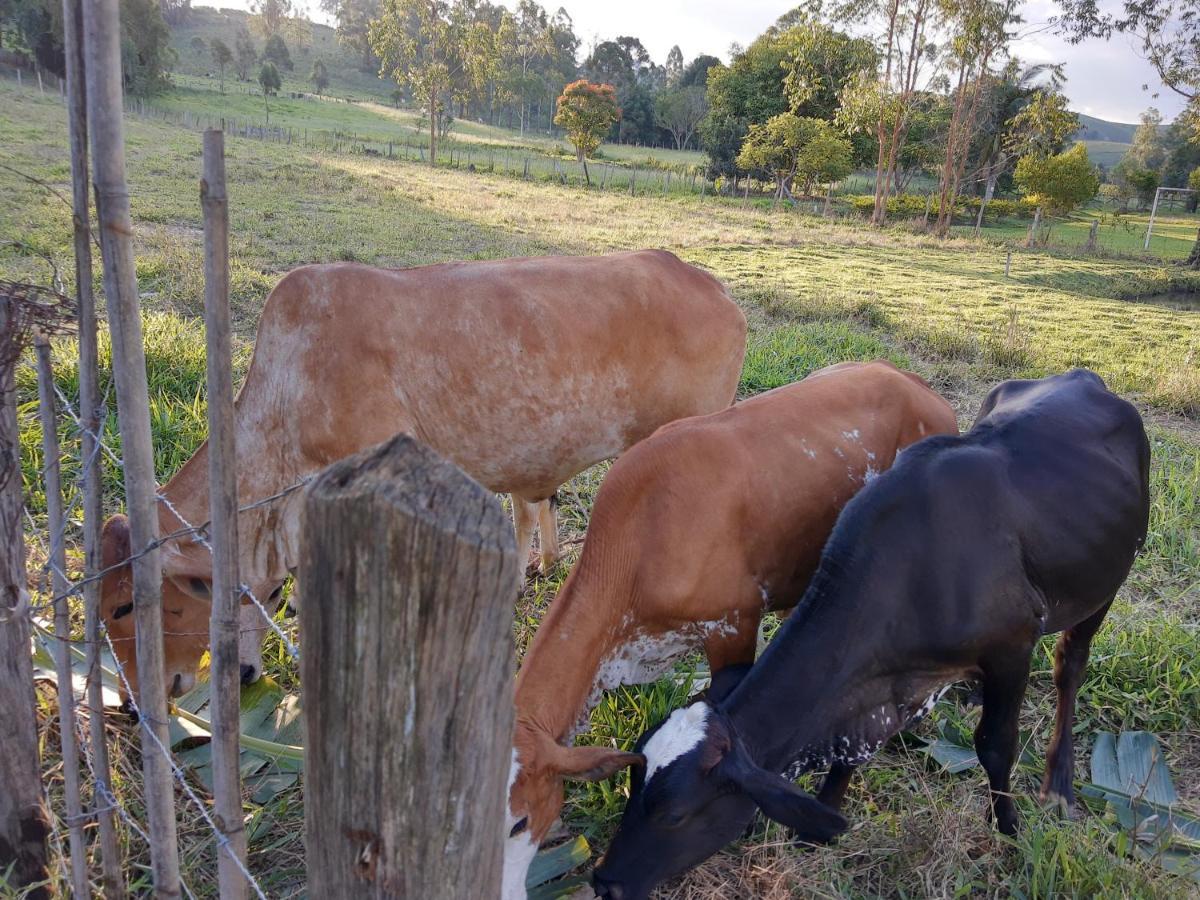 Pousada Roseira Lagoinha Sp Buitenkant foto